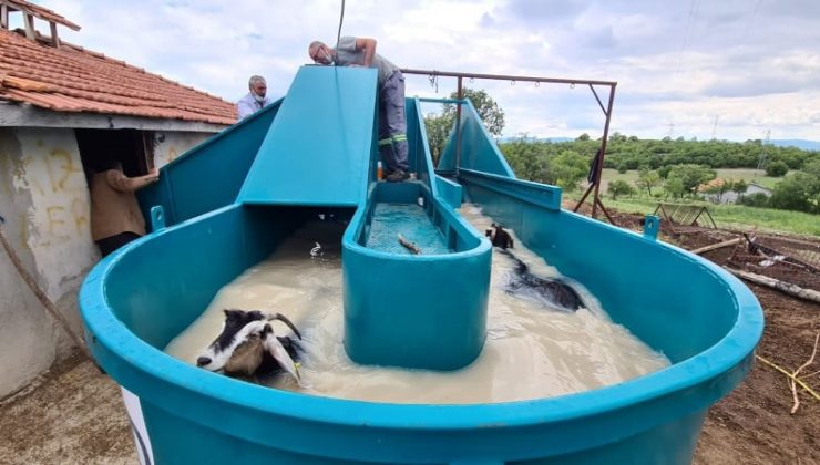 Kütahya’da keçi peyniri projesi için alınan küçükbaş hayvan yıkama ve ilaçlama makineleri hizmete girdi