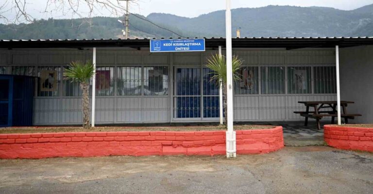 Kuşadası’nda Davutlar Kedi Kısırlaştırma Ünitesi için geri sayım başladı