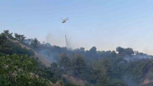 Horozköy yangını kontrol altına alındı