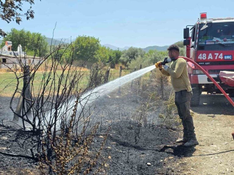 Bozarmut Ovası’ndaki zirai yangın kısa sürede söndürüldü