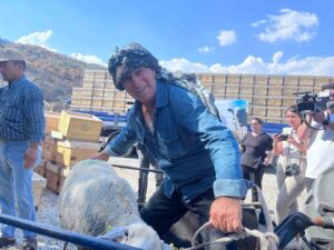 İzmir’de orman yangınlarından etkilenen vatandaşların yaraları sarılıyor