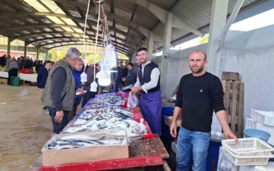 Balık bollaştı, fiyatlar düştü