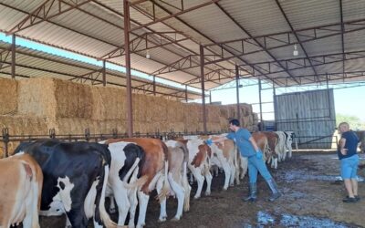 Nazilli’de 13 mahalle karantinaya alındı