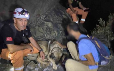 Ormalık alanda mahsur kalan vatandaş 4 saatlik çalışma sonunda kurtarıldı