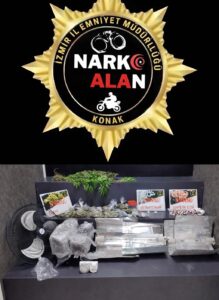 İzmir’de seraya çevirdiği evde kenevir yetiştiren şahıs tutuklandı