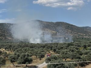Bayındır’da zeytinlik alanda yangın