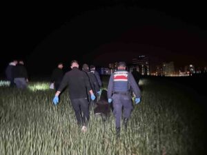 Yaşlı adamı tarlada bıçaklayarak öldüren şüpheli yakalandı